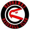 Ohio RedHawks Baseball Club 13U