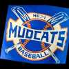 Mudcats team logo