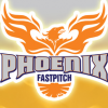 Team Phoenix team logo