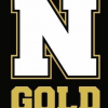 NE Gold team logo