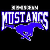 Birmingham Mustangs