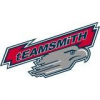 Teamsmith Texas team logo