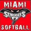 Miami Stingrays (Tampa)