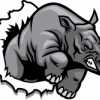 Chandler Rhinos team logo