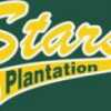 Plantation Stars team logo