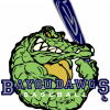 Bayou Dawgs Baseball