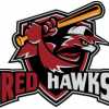 Red Hawks team logo