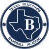 Texas Bluechips Baseball team logo