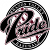 BV Pride Baseball team logo