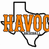 Texas Havoc Baseball team logo