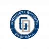 Gwinnett Bandits Baseball team logo
