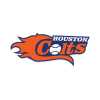 Houston Colts Baseball team logo