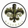 BN Dallas Saints team logo