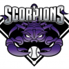 Scorpions team logo