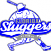 Florida Sluggers team logo