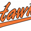 Hillsborough Hawks Baseball team logo