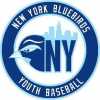 New York Bluebirds