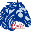 Colts Baseball Club team logo