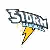 Storm Baseball team logo