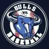 NTX Bulls Baseball team logo