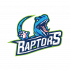 HD Raptors team logo