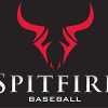 Spitfire United team logo