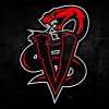 NWI Vipers team logo