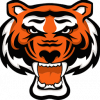 Rawling Tigers team logo